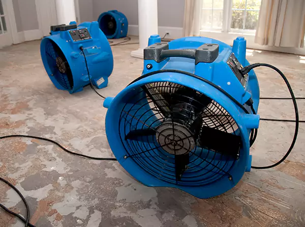 Water Damage Reconstruction in Dawsonville