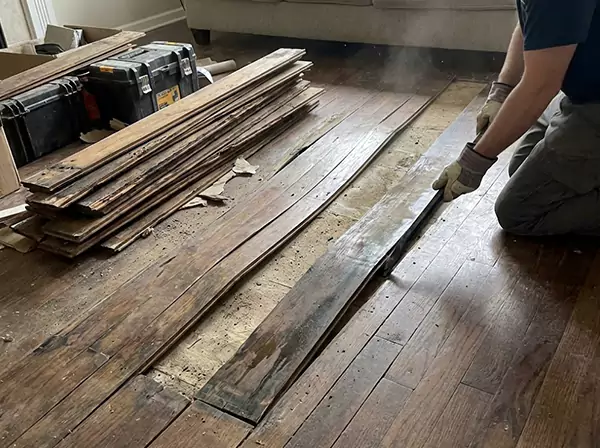 Water Damage Drying in Dawsonville