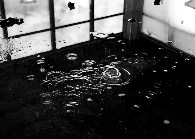 Your Contaminated Water Removal Specialists in Dawsonville, GA