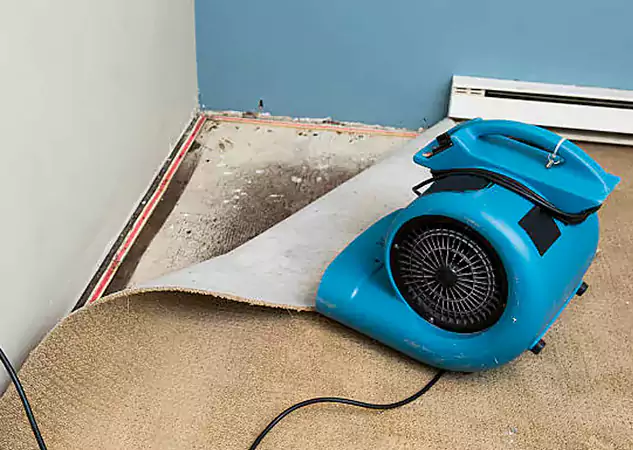 Your Water Damage Experts in Dawsonville, GA