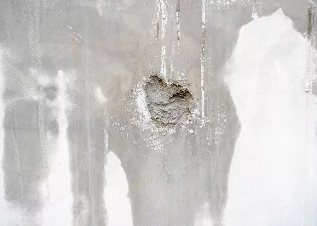 Your Mold Mitigation Solutions Partner in Dawsonville, GA