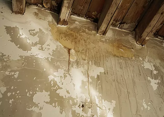 Your Trusted Restoration Company in Dawsonville, GA