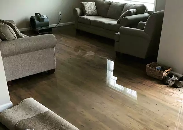 Your Trusted Restoration Company in Dawsonville, GA
