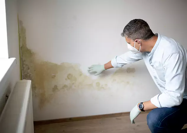 Reach Our Remediation Team Before Damage Grows in Dawsonville, GA!