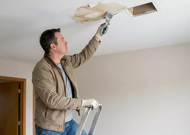 Your Ceiling Damage Repair Experts in Dawsonville, GA
