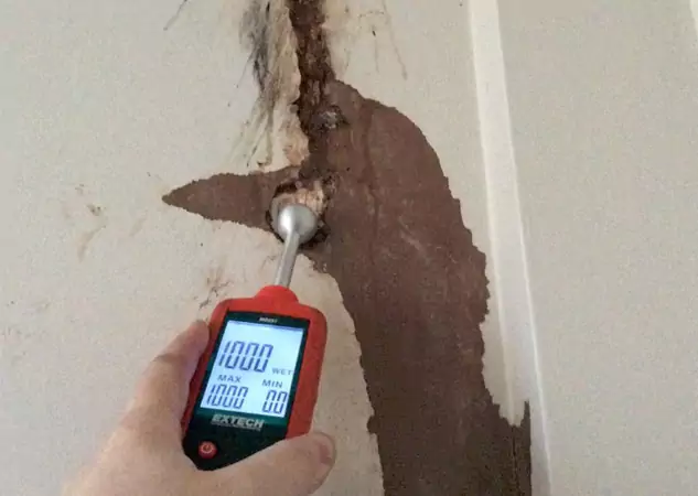 Your Water Damage Assessment Partner in Dawsonville, GA