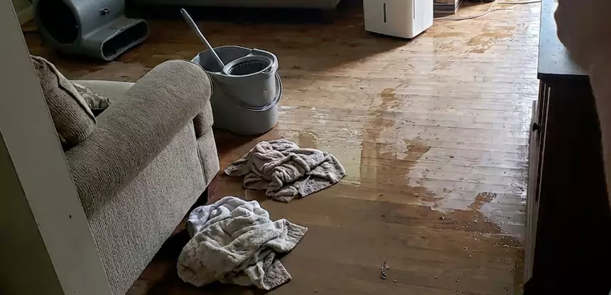 Professional Basement Water Remediation Services in Dawsonville, GA