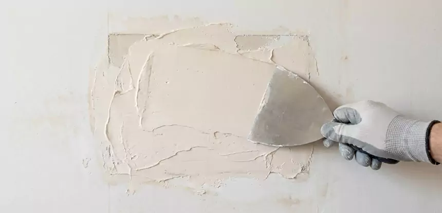 Professional Mold and Drywall Repair Services in Dawsonville, GA