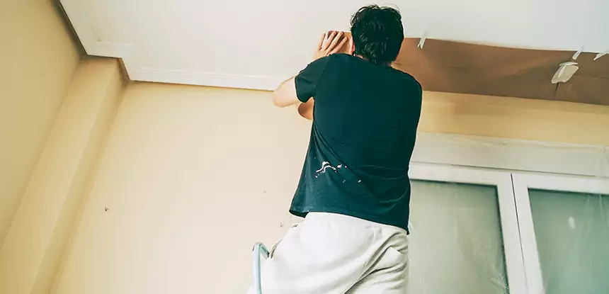 Ceiling Water Damage Repair in Dawsonville
