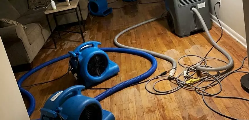 Basement Flood Restoration Services in Dawsonville