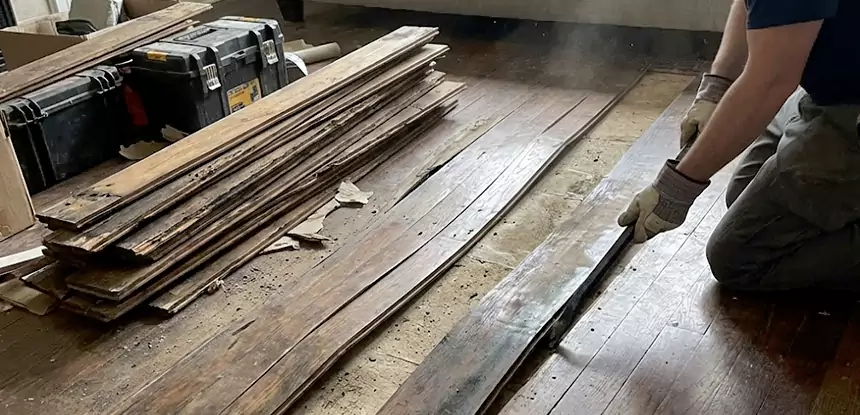 Wood Rot and Fungus Repair in Dawsonville