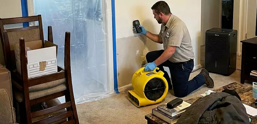 Carpet Water Damage Repair Dawsonville
