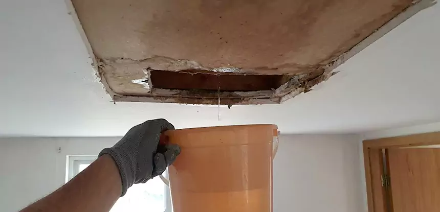 Ceiling Mold Repair Dawsonville 