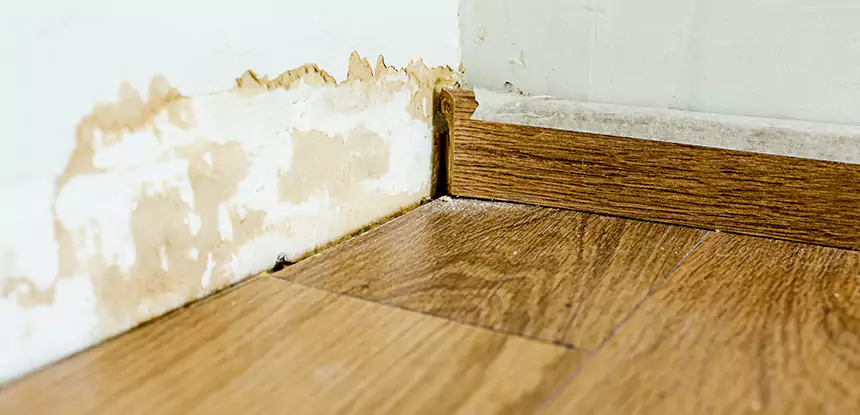 Professional Fix Water Damaged Wood Services in Dawsonville, GA