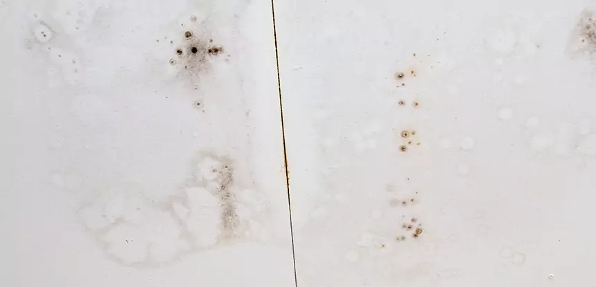 Professional Water Stain Repair Services in Dawsonville, GA