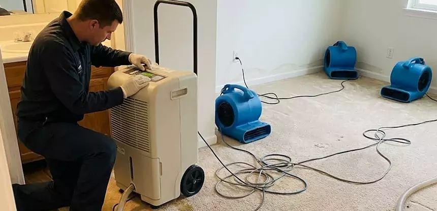 Professional Wet Carpet Removal Services in Dawsonville, GA