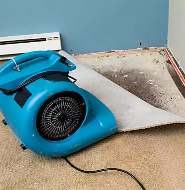 Why Dawsonville Trusts Dawsonville Restoration Pro for Carpet Flood Recovery?