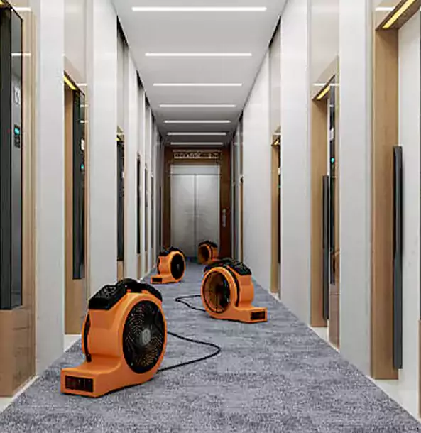 Why Dawsonville Trusts Dawsonville Restoration Pro?