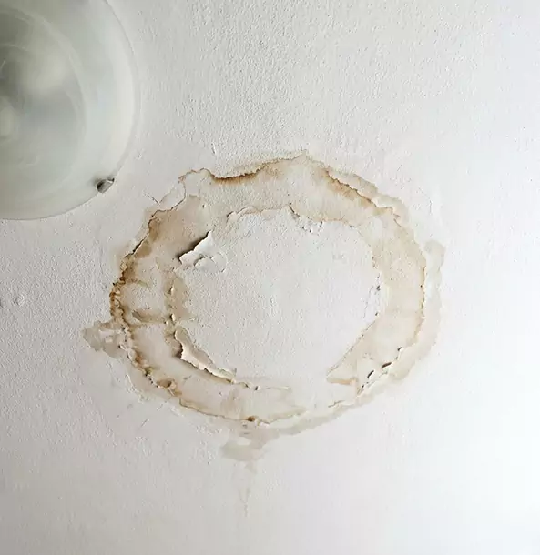 Why Dawsonville Property Owners Choose Dawsonville Restoration Pro for Ceiling Water Damage Restoration?