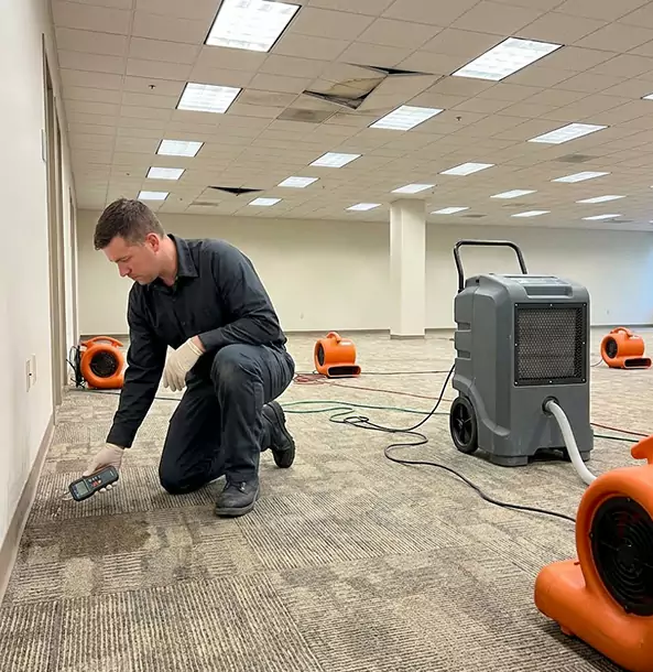 Why Dawsonville Businesses Choose Dawsonville Restoration Pro for Water Cleanup?