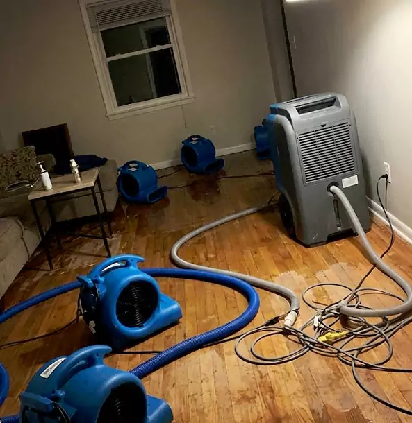 Why Dawsonville Calls Dawsonville Restoration Pro First for Emergency Restoration?