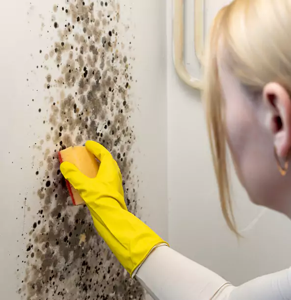 Why Dawsonville Restoration Pro Leads Mold Remediation in Dawsonville?