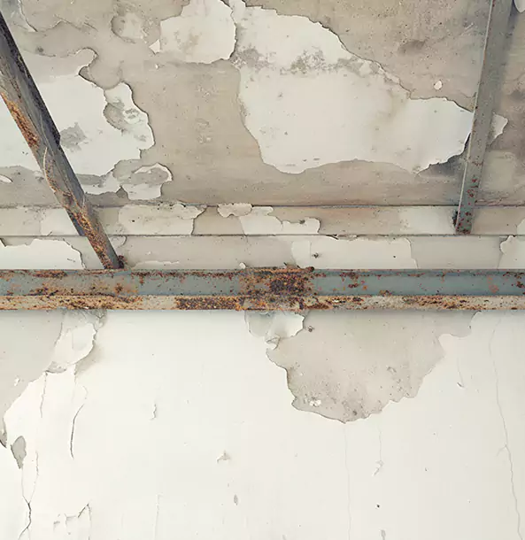Why Dawsonville Restoration Pro Is the Right Choice in Dawsonville, GA?