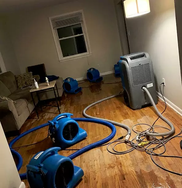 Why Dawsonville Property Owners Rely on Dawsonville Restoration Pro for Remediation?