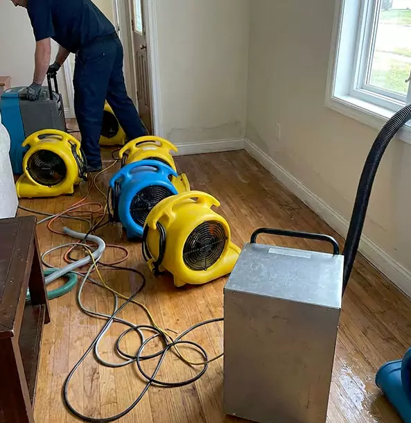 Why Dawsonville Property Owners Choose Dawsonville Restoration Pro for Remediation?