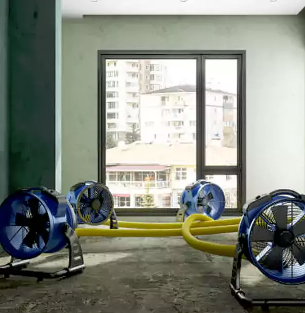 Why Dawsonville Property Owners Trust Dawsonville Restoration Pro for Water Damage Drying?