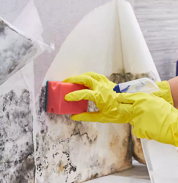 Why Dawsonville Trusts Dawsonville Restoration Pro for Mold and Water Restoration?