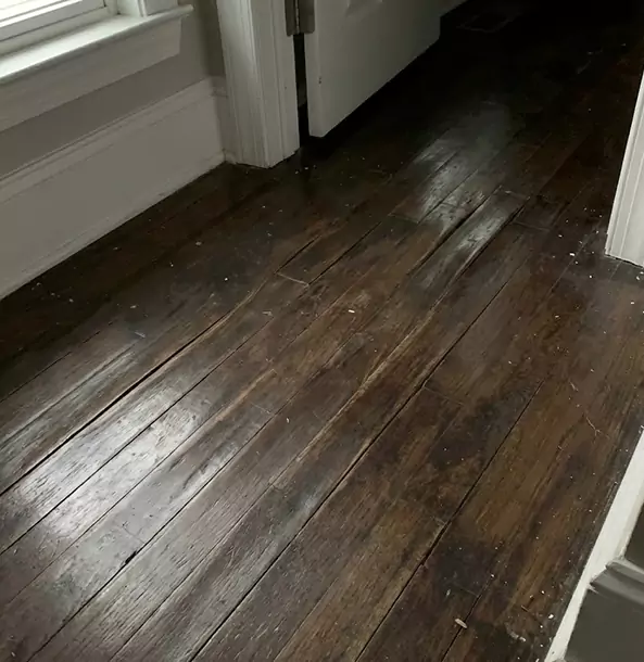 Why Dawsonville Homeowners Trust Dawsonville Restoration Pro to Fix Water Damaged Wood?