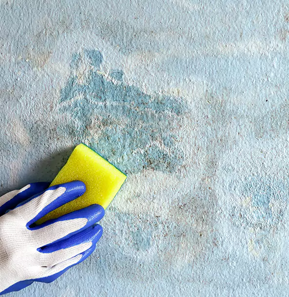 Why Dawsonville Restoration Pro Is the Right Choice in Dawsonville, GA?