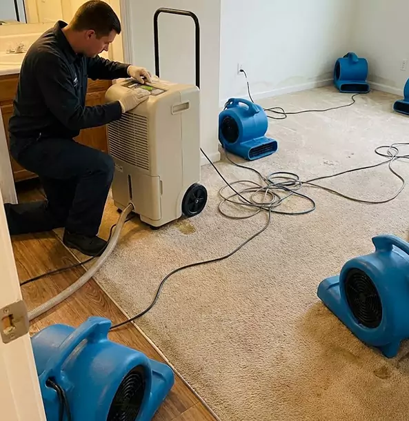 Why Dawsonville Homeowners and Businesses Trust Dawsonville Restoration Pro for Carpet Drying?