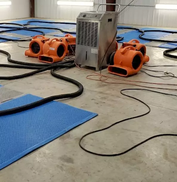 Why Dawsonville Homeowners and Businesses Choose Dawsonville Restoration Pro for Wet Carpet Removal?