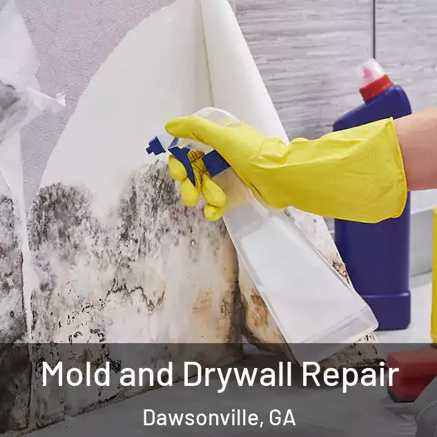  Mold and Drywall Repair Dawsonville, GA