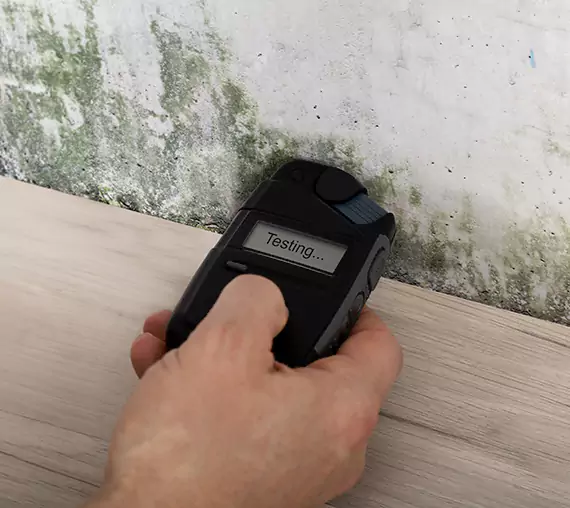 Mold Remediation Service Dawsonville