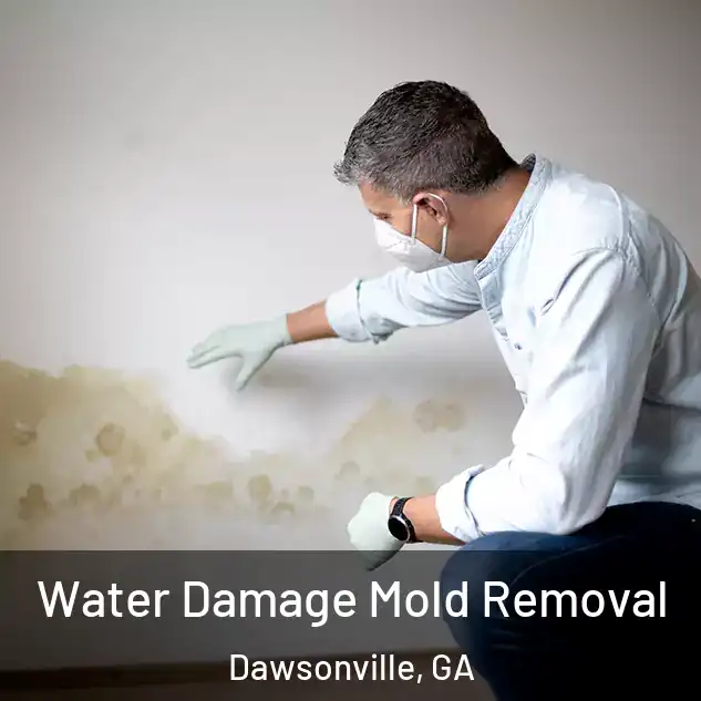  Water Damage Mold Removal Dawsonville, GA