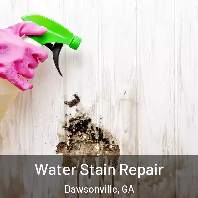 Water Stain Repair Dawsonville, GA