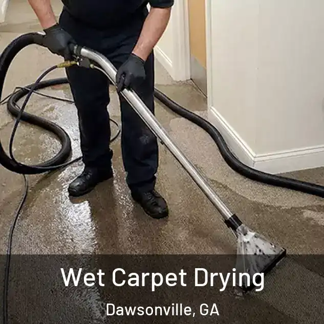  Wet Carpet Drying Dawsonville, GA